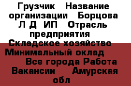 Грузчик › Название организации ­ Борцова Л.Д, ИП › Отрасль предприятия ­ Складское хозяйство › Минимальный оклад ­ 14 000 - Все города Работа » Вакансии   . Амурская обл.